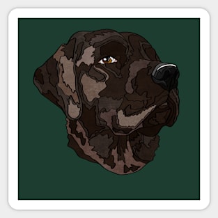 Chocolate Labrador Retriever Sticker